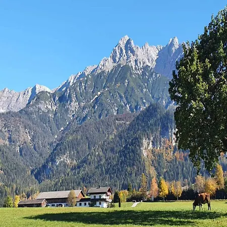 On An Organic Farm Near Slopes *