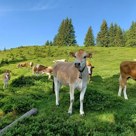 Lejlighed On An Organic Farm Near Slopes