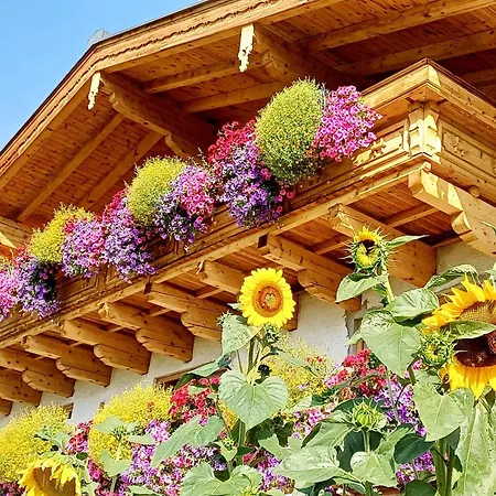 On An Organic Farm Near Slopes