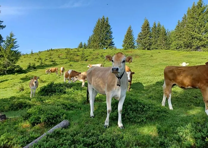 아파트 On An Organic Farm Near Slopes