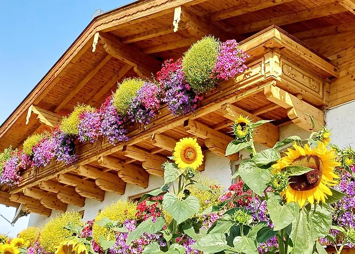 On An Organic Farm Near Slopes